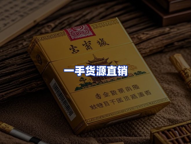 专业团队